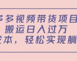 多多视频带货项目,搬运日入过万,0成本,轻松实现躺赚(教程+软件)-第一资源网