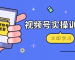 微信视频号实操训练营:视频号起号运营纯干货玩法!-第一资源网