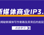 新媒体商业IP3.0,全面揭秘新媒体写作套路及其背后的底层逻辑(价值1299元)-第一资源网