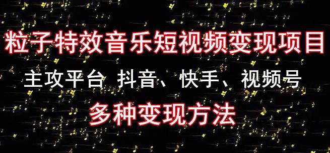 黄岛主《粒子特效音乐短视频变现项目》主攻平台抖音、快手、视频号多种变现方法-第一资源网
