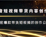 抖音短视频带货内容创作班,解密爆款带货短视频的创作公式-第一资源网