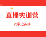 直播实训营,变学边实操,成为运营型主播,拉动直播间人气-第一资源网