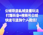 公域导流私域流量玩法:打爆抖音+视频号公域,快速引流到个人微信!-第一资源网
