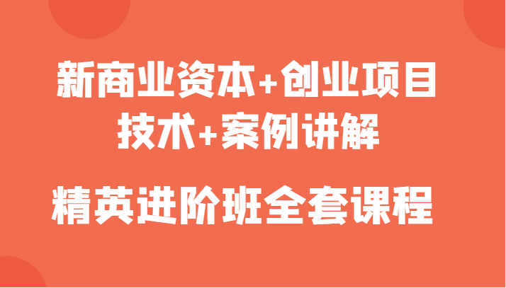 新商业资本+创业项目，技术+案例讲解，精英进阶班全套课程-第一资源网