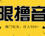 抖音直播无限撸音浪,简单可复制,偏门玩法,日入500+【视频教程】-第一资源网