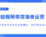 2023短视频带货爆单运营,从账号定位到学会选预爆品,到代理完成出单(价值1250元)-第一资源网