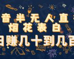 抖音半无人直播烟花表白,日赚几十到几百(教程+视频模板素材)-第一资源网