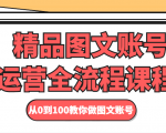 精品图文账号运营全流程课程 从0到100教你做图文账号-第一资源网