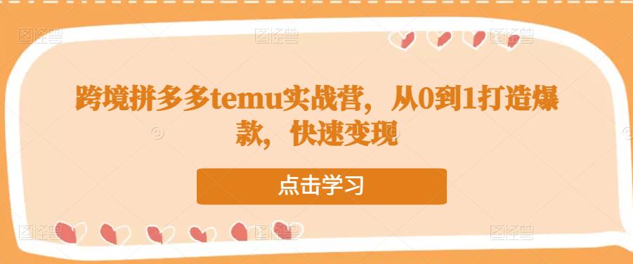 跨境拼多多temu实战营，从0到1打造爆款，快速变现-第一资源网