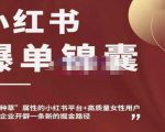 小红书爆单锦囊,自带种草属性+高质量女性用户,为你的企业开辟一条新的掘金路径-第一资源网