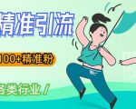 soul精准引流系列课程,一天引流100+精准粉,适合各类行业-第一资源网