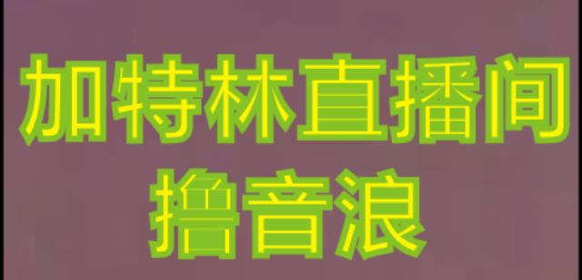 抖音加特林直播间搭建技术，抖音0粉开播，暴力撸音浪，2023新口子，每天800+【素材+详细教程】-第一资源网