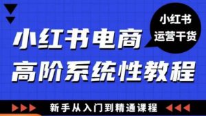 小红书电商高阶系统教程,新手从入门到精通系统课-第一资源网