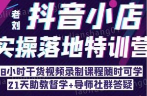 抖音小店实操落地特训营:抖音小店无货源精细化运营,抖店商品卡流量(22节)-第一资源网