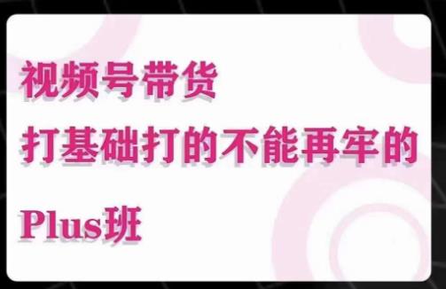 大播汇·视频号带货Puls班，视频号底层逻辑，起号自然流鱼塘等玩法-第一资源网