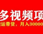 多多带货视频快速50爆款拿带货资格,搬运带货,月入30000【全套脚本+详细玩法】-第一资源网
