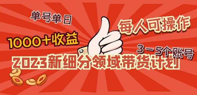 2023新细分领域带货计划：单号单日1000+收益不难，每人可操作3-5个账号-第一资源网