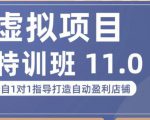 陆明明·虚拟项目特训班(10.0+11.0),0成本获取虚拟素材,0基础打造自动盈利店铺-第一资源网