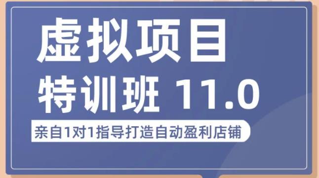 陆明明·虚拟项目特训班（10.0+11.0），0成本获取虚拟素材，0基础打造自动盈利店铺-第一资源网