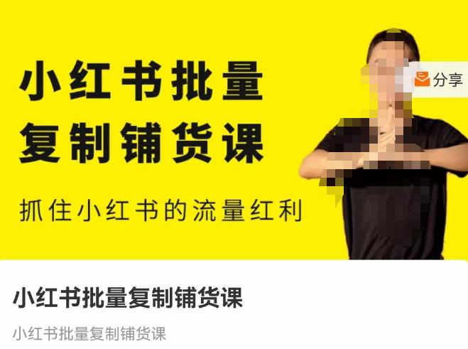 张宾·小红书批量复制铺货课，抓住小红书的流量红利 （更新2023年2月）-第一资源网