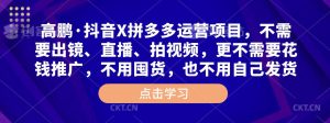 高鹏·抖音X拼多多运营项目,不需要出镜、直播、拍视频,不需要花钱推广,不用囤货,不用自己发货-第一资源网