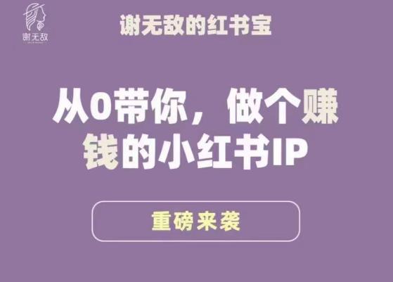 谢无敌·小红书运营大宝典，从0带你做个赚钱的小红书IP-第一资源网
