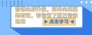 营销实战升级,简单实用落地有效,帮你省下百万咨询费用-第一资源网