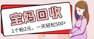 最新宝妈粉回收变现计划及胎教音乐高端变现玩法全套教程!(非老玩法)-第一资源网
