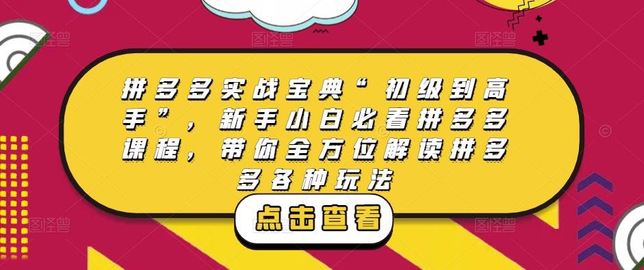拼多多实战宝典“初级到高手”，新手小白必看拼多多课程，带你全方位解读拼多多各种玩法-第一资源网