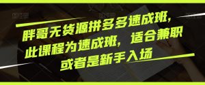 胖哥无货源拼多多速成班,此课程为速成班,适合兼职或者是新手入场-第一资源网