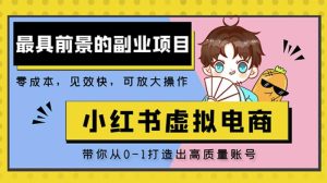小红书蓝海大市场虚拟电商项目,手把手带你打造出日赚2000+高质量红薯账号-第一资源网