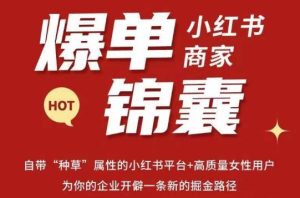 无畏·小红书商家爆单锦囊,掌握小红书各大规则,快速精准抢占行业和市场-第一资源网