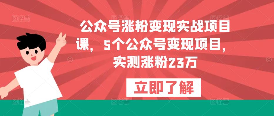 公众号涨粉变现实战项目课，5个公众号变现项目，实测涨粉23万-第一资源网