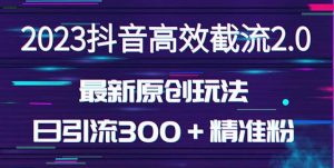 日引300+创业粉,独家抖音高效截流2.0玩法(价值1280)-第一资源网