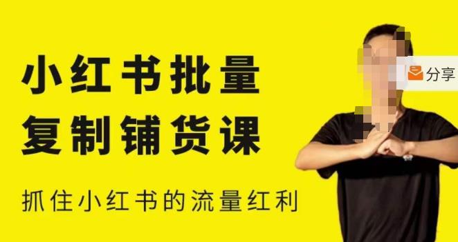 张宾·小红书批量复制铺货课，小红书0-1快速起号变现玩法，抓住小红书的流量红利（更新2023年3月）-第一资源网