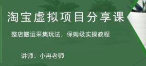 淘宝虚拟整店搬运采集玩法分享课:整店搬运采集玩法,保姆级实操教程-第一资源网