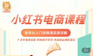 小红书电商新手入门到精通实操课,从入门到精通做爆款笔记,开店运营-第一资源网