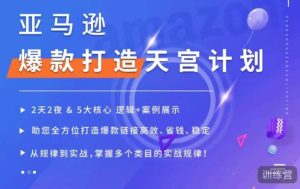 亚马逊爆款打造天宫计划,5大核心逻辑+案例展示,助你全方位打造爆款链接高效、省钱、稳定-第一资源网