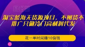 淘宝蓝海无货源项目,不囤货不推广只做冷门高利润代发,花一半时间赚10倍钱-第一资源网