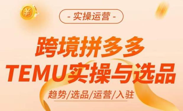 跨境拼多多TEMU实操与选品，​掌握平台运营方法技巧，选品避坑12条标准，爆款的底层思路等-第一资源网