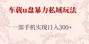 车载u盘暴力私域玩法,长期项目,仅需一部手机实现日入300+-第一资源网