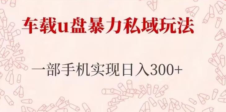 车载u盘暴力私域玩法，长期项目，仅需一部手机实现日入300+-第一资源网