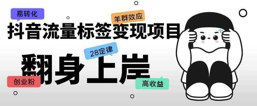 抖音流量标签变现项目，抖音创业粉轻松转化，单价高收益简单-第一资源网