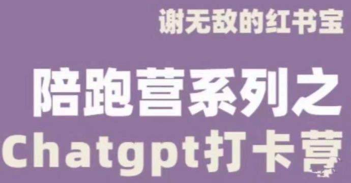谢无敌ChatGPT打卡营，教你更好地使用ChatGPT来提高工作效率-第一资源网