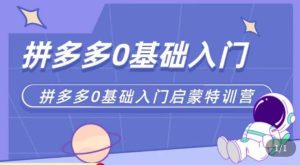 六一电商·拼多多运营0-1实操特训营,拼多多从基础到进阶的可实操玩法-第一资源网