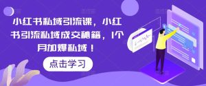 小红书私域引流课,小红书引流私域成交秘籍,1个月加爆私域!-第一资源网