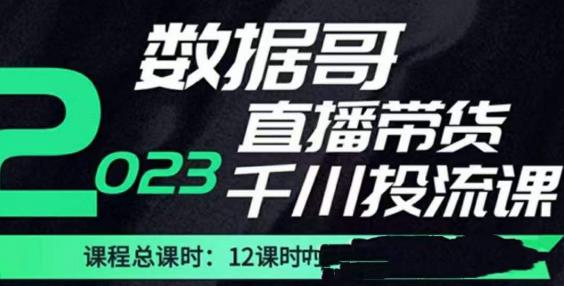 数据哥2023直播电商巨量千川付费投流实操课，快速掌握直播带货运营投放策略-第一资源网