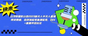 云顶联盟彭小四2023新无人半无人直播带货教程,自然流起号鱼塘起号,OBS+直播伴侣玩法-第一资源网