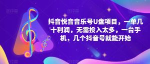 抖音音乐号U盘项目,一单几十利润,无需投入太多,一台手机,几个抖音号就能开始-第一资源网