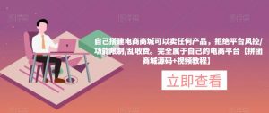 自己搭建电商商城可以卖任何产品,完全属于自己的电商平台【拼团商城源码+视频教程】-第一资源网